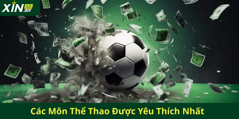 Các Môn Thể Thao Được Yêu Thích Nhất