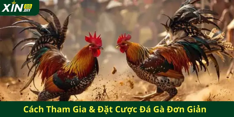 Cách Tham Gia Nhà Cái Xin88 & Đặt Cược Đơn Giản