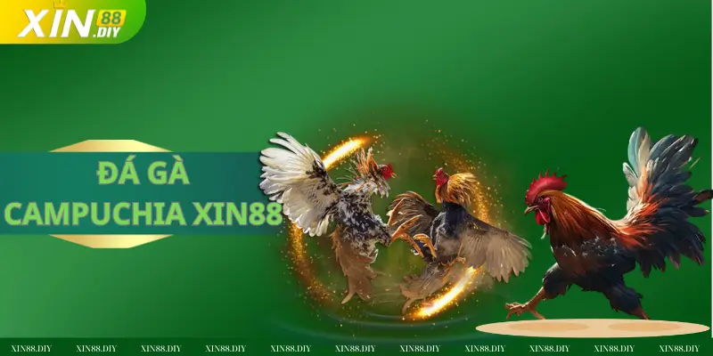 ĐÁ GÀ CAMPUCHIA XIN88