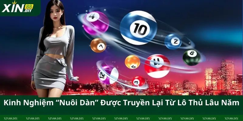 Kinh Nghiệm “Nuôi Dàn” Được Truyền Lại Từ Lô Thủ Lâu Năm