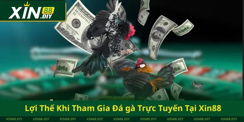Lợi Thế Khi Tham Gia Đá Gà Trực Tuyến Tại Xin88