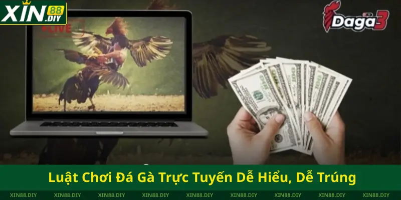 Luật Chơi Đá Gà Trực Tuyến Dễ Hiểu, Dễ Trúng