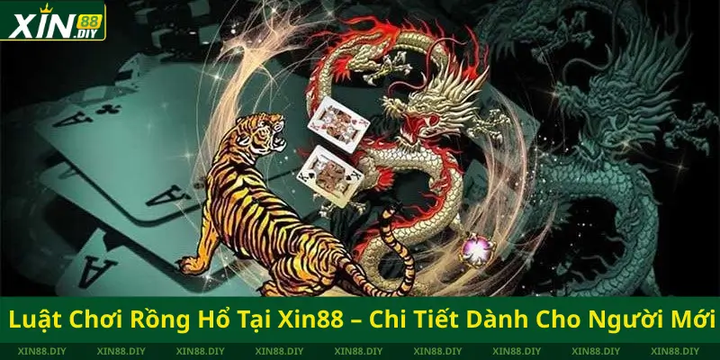 Luật Chơi Rồng Hổ Tại Xin88 – Chi Tiết Dành Cho Người Mới