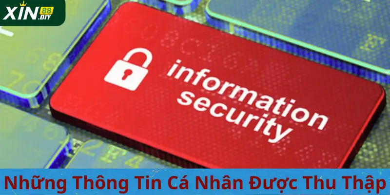 Những Thông Tin Cá Nhân Được Thu Thập