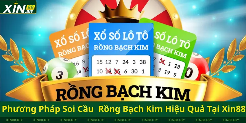 Phương Pháp Soi Cầu Rồng Bạch Kim Hiệu Quả Tại Xin88