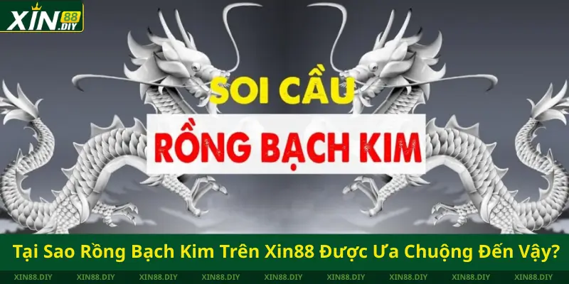 Tại Sao Rồng Bạch Kim Trên Xin88 Được Ưa Chuộng Đến Vậy